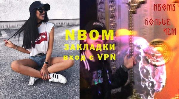 хмурый Инсар