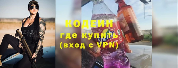 хмурый Инсар