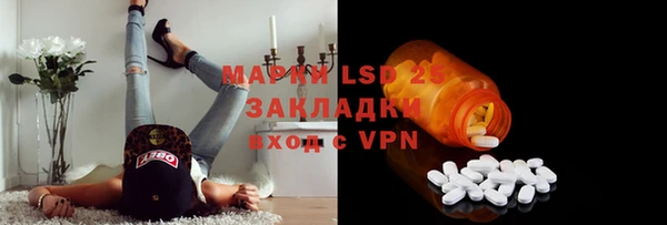 хмурый Инсар