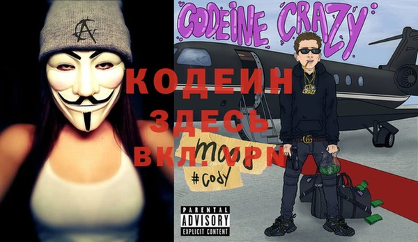 хмурый Инсар
