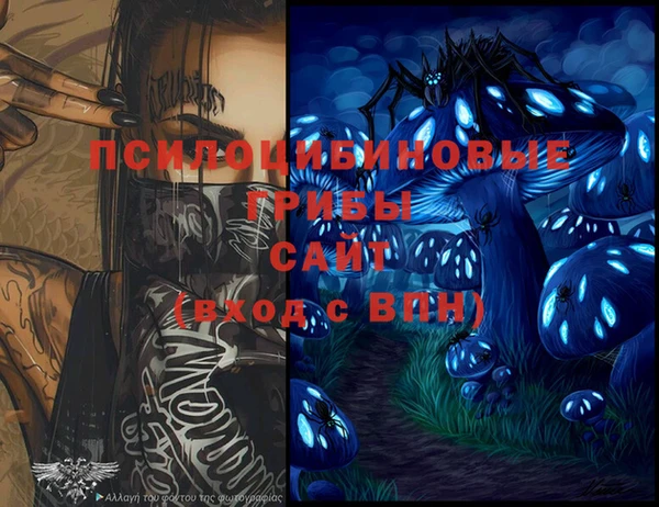 хмурый Инсар