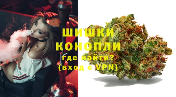 Альфа ПВП Инта