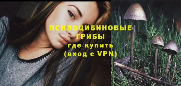 Альфа ПВП Инта