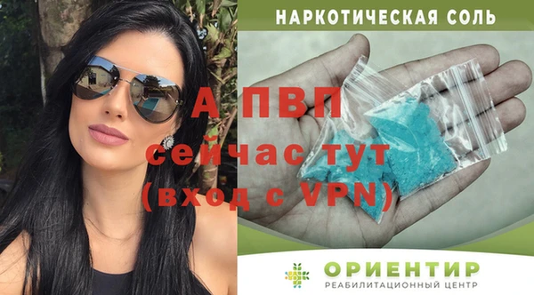 хмурый Инсар