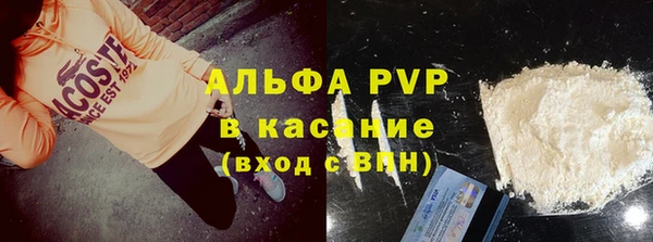 хмурый Инсар