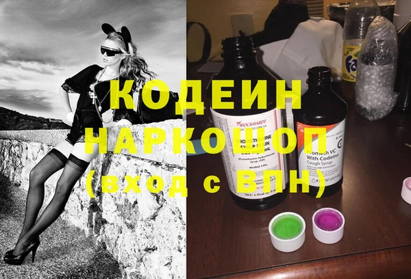 хмурый Инсар