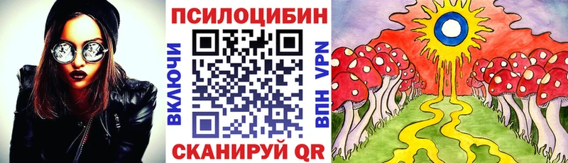 кракен ТОР  где купить наркоту  Санкт-Петербург  Псилоцибиновые грибы прущие грибы 