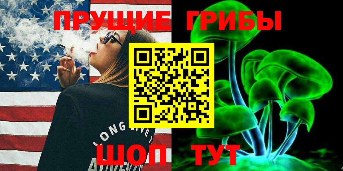 Галлюциногенные грибы Psilocybe Санкт-Петербург